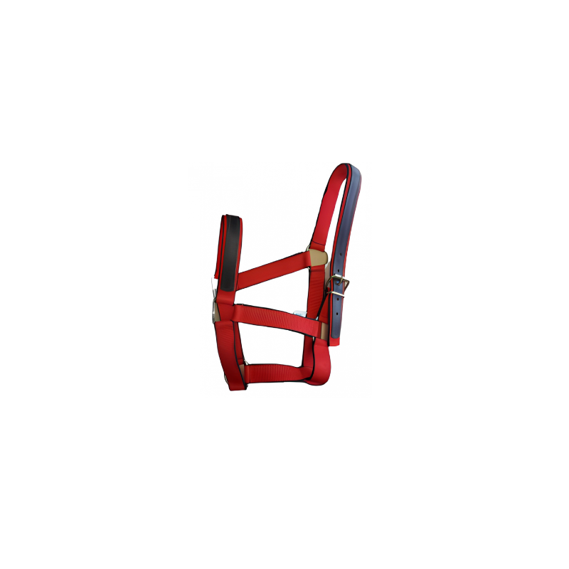 Capestre pentru cai bandă+piele cob full Capestre pentru cai bandă+piele cob full